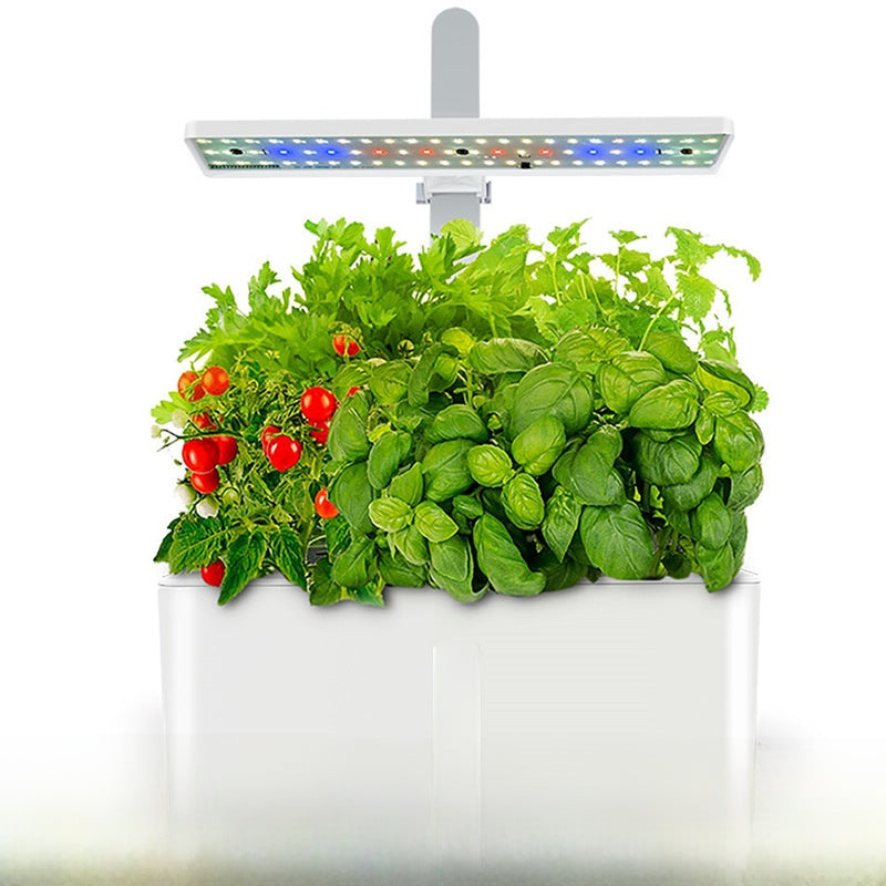 Indoor hydroponic garden lit by a full spectrum LED bar, basil, parsley and cherry tomatoes growing above the tank