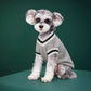 Dog Knitted V Neck Cricket Sweater
