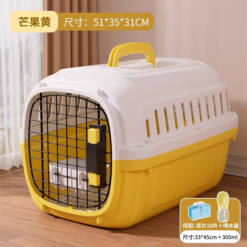 Small dog sitting inside the ventilated hard plastic pet travel crate