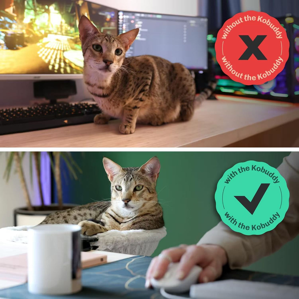 Before and after comparison: a cat on a desk beside a monitor, and the same cat lying in a desk edge hammock