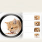 Orange cat eating from a bowl seen through the round camera window of the feeder beside a list of recorded feeding clips