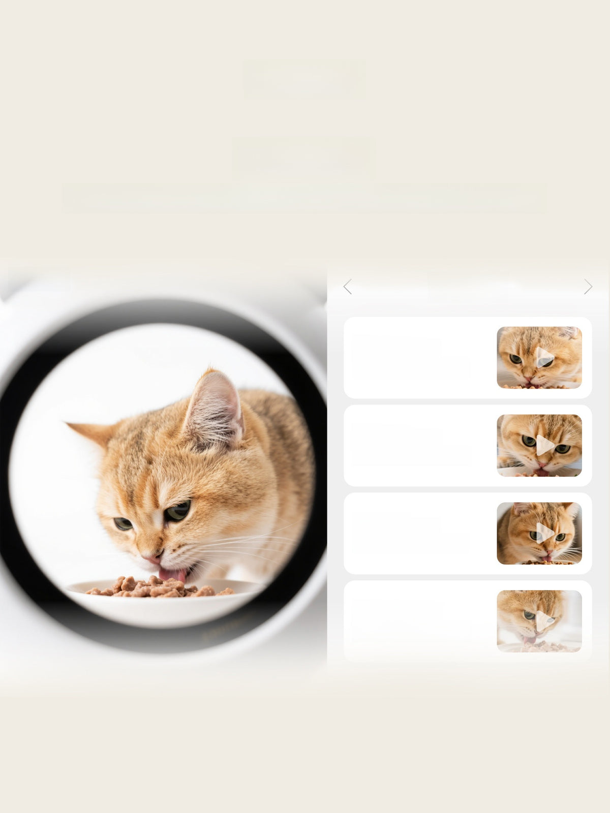 Orange cat eating from a bowl seen through the round camera window of the feeder beside a list of recorded feeding clips