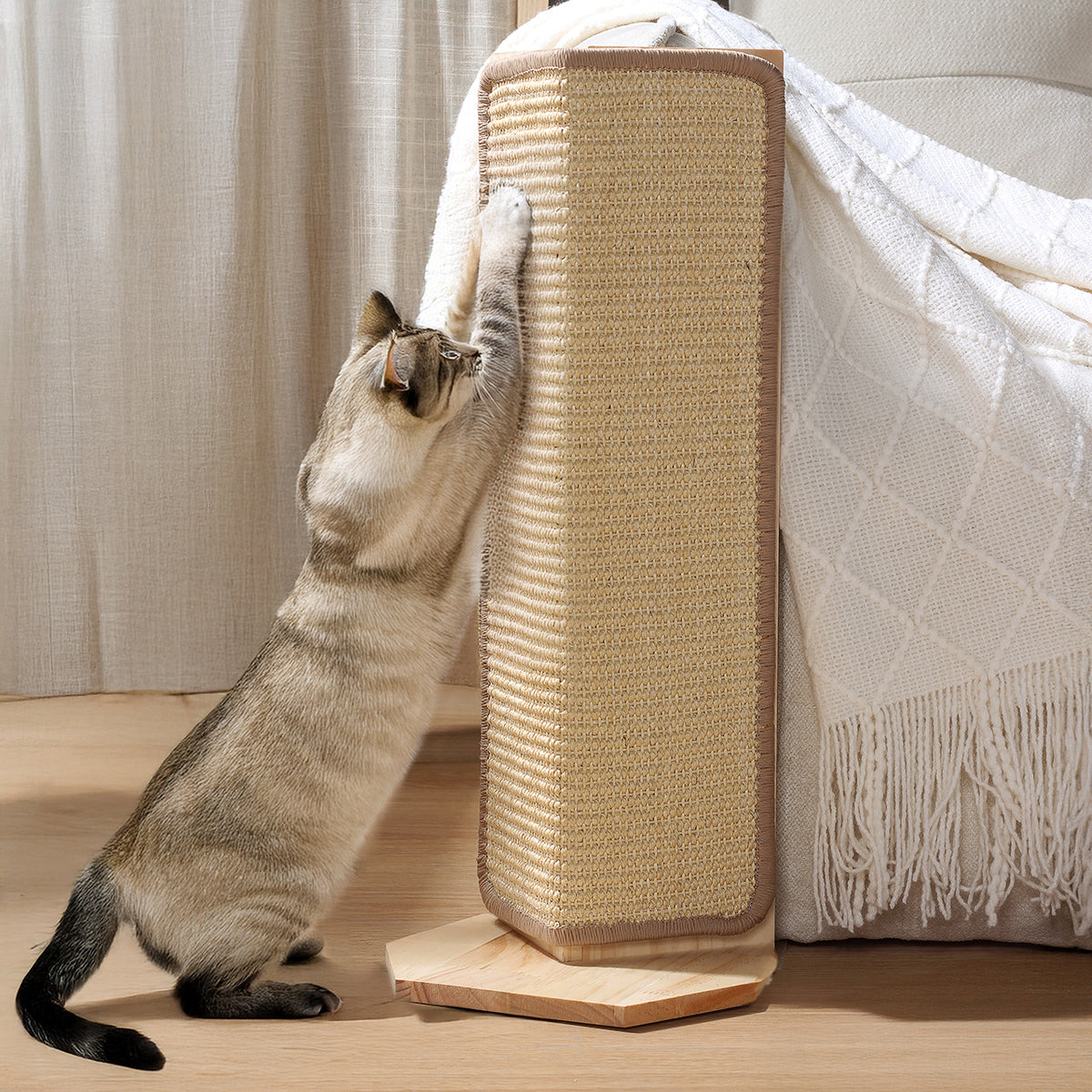 Option Yellow 52cm Scratcher L2: cat reaching up a sisal scratching post with wood base beside a sofa arm and cream throw
