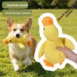 Companion ducksmall