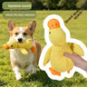 Companion ducksmall