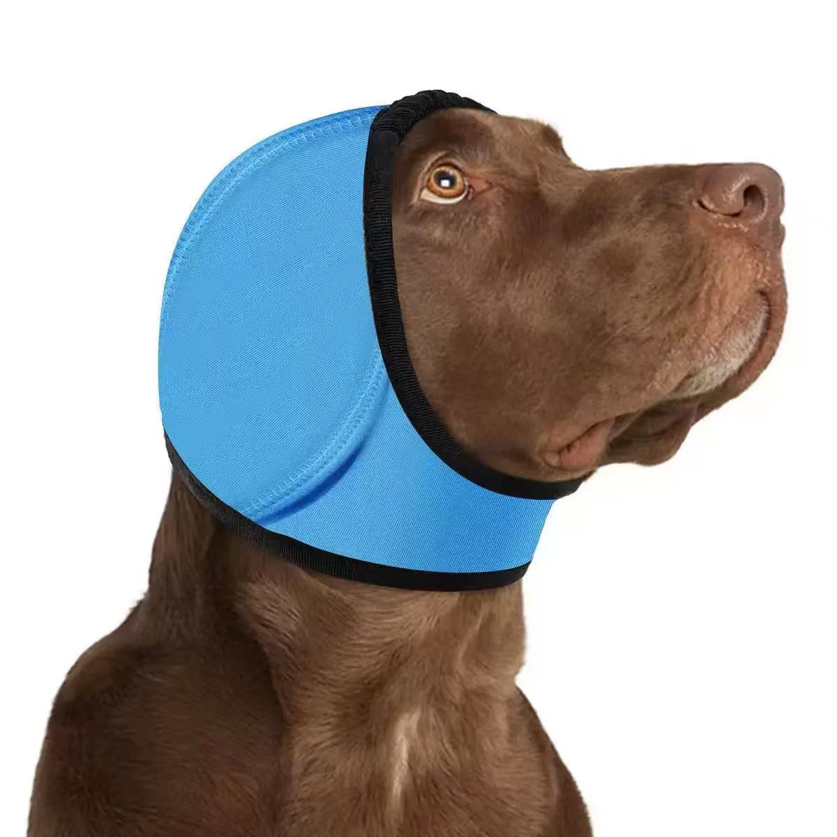 Dog ear cover snood pulled over the head with the smooth nylon face shown
