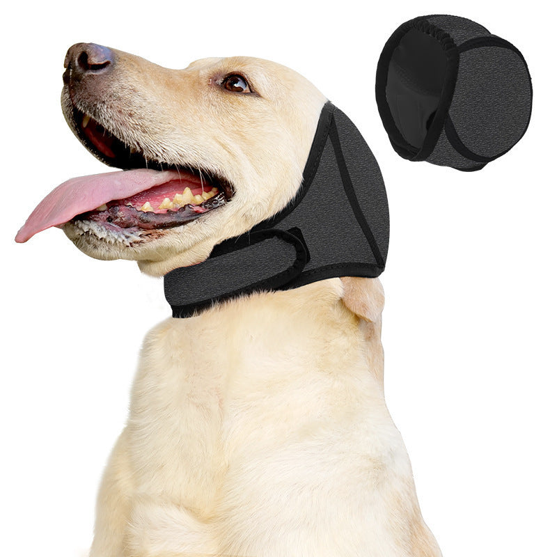 Dog ear cover snood worn for grooming and drying with the ears covered