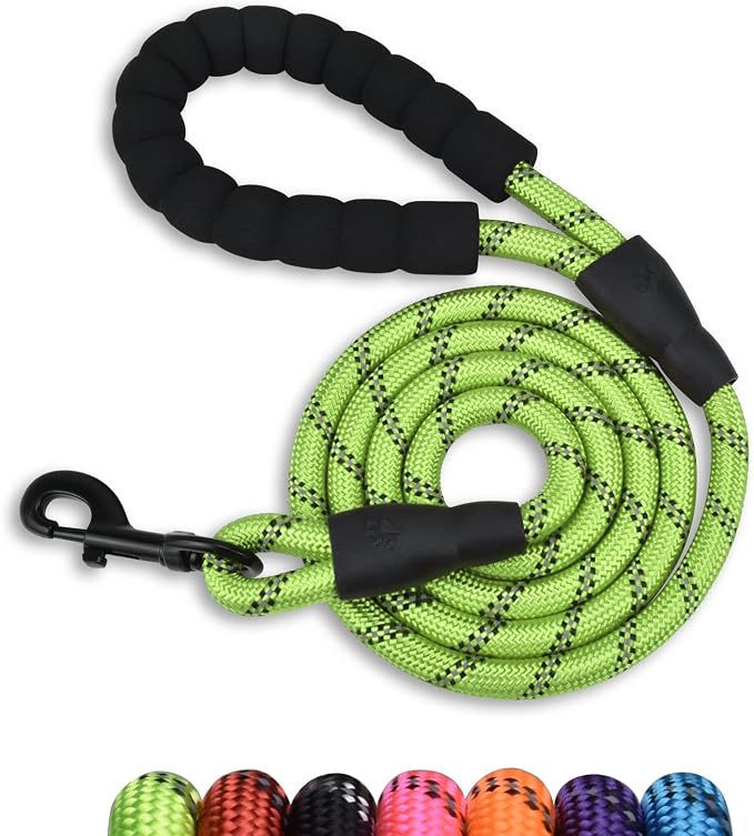 Reflective rope dog leash coiled beside its metal swivel snap hook on white