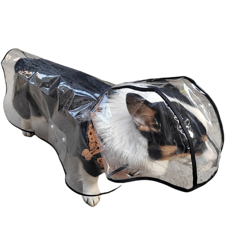 Small dog wearing the clear EVA hooded rain poncho, shown as a studio product photo