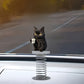 Grumpy black cat on a coil spring mounted on a white car hood with an open road behind