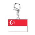 Steel grey singapore