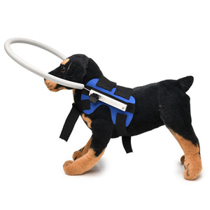 Blind dog wearing an adjustable halo harness with a front hoop that meets obstacles first