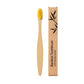 Bamboo toothbrushes grouped to show the natural grain of each handle