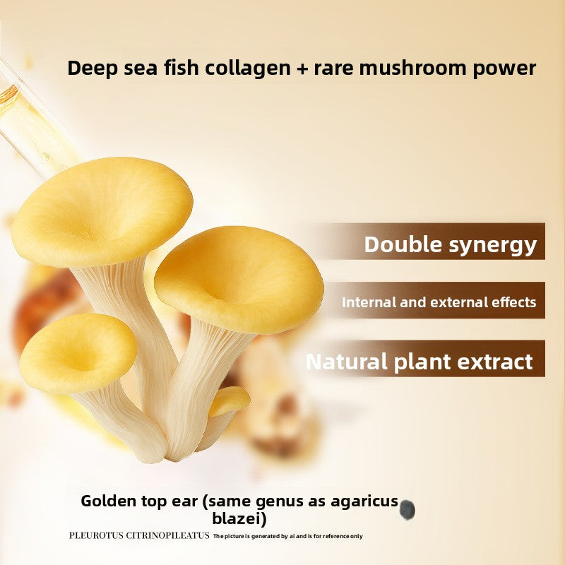 Golden oyster mushroom shown beside the fish collagen beverage on a cream toned background