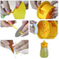 Fruit Fly Trap