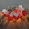 New Heart Small House / 3m20Lamp Battery Twinkle