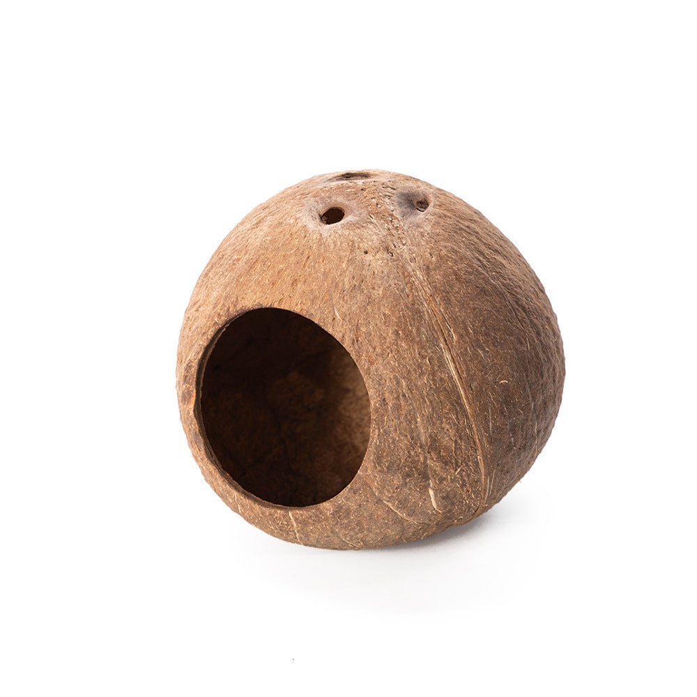 Natural coconut shell pet hide hanging in a terrarium with a round doorway