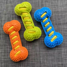 Squeaky Chew Toys for Dogs and Cats