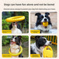 Black and white dog running with a yellow EVA foam ring dog toy on the grass