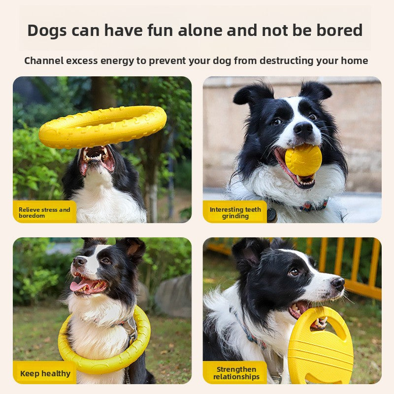 Black and white dog running with a yellow EVA foam ring dog toy on the grass
