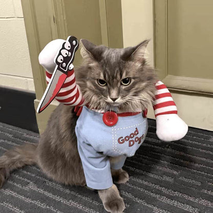 Pet Costume