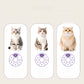 Three cat profile cards each linked to one lettered compartment of the six slot rotating feeder tray