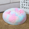 Tie-Dye Colorful Powder