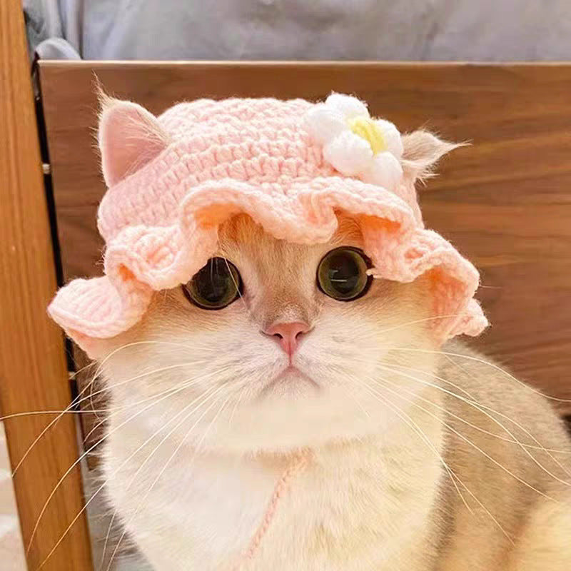 Pink flower hand crocheted pet hat worn by a fluffy cat
