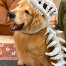 Dinosaur Skeleton Headgear for Cats and Dogs