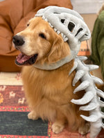 Gray plush dinosaur skull headgear with open jaw worn by a golden retriever, skeleton spine down the back