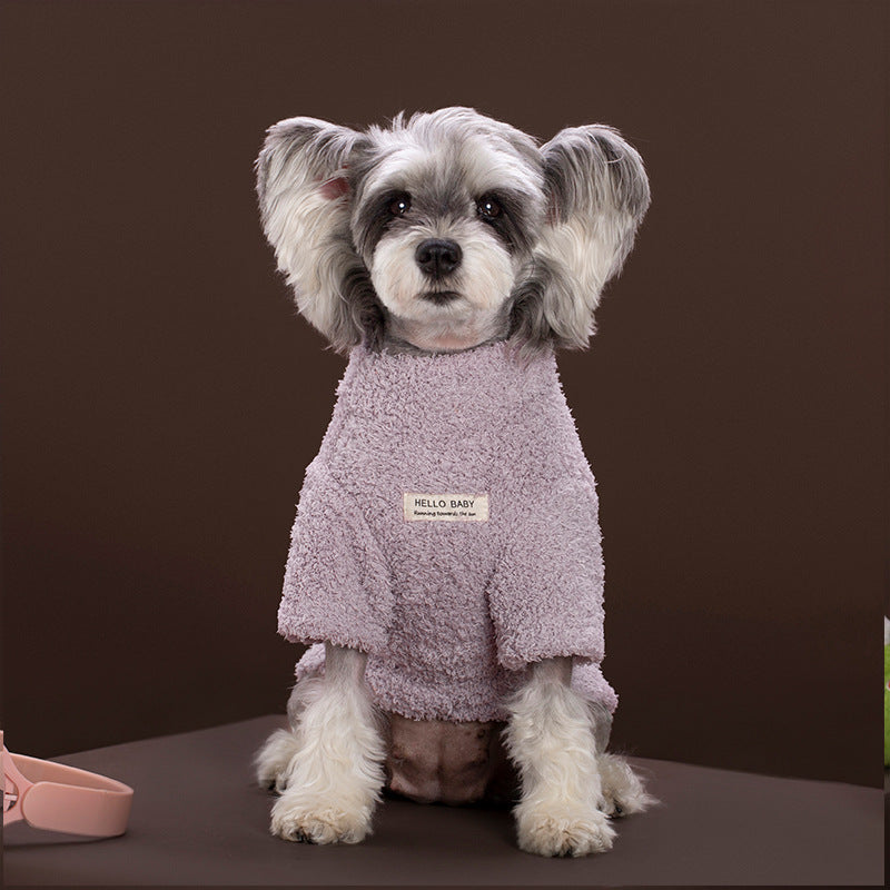 Striped Rainbow Plush fleece dog sweater shown on a small white dog
