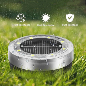 Stainless steel solar disk light glowing white along a garden path at night