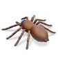 Remote control spider cat toy on a plain background for interactive play