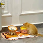 Lion with pink honey jar set: kitten eating from the pink honey jar beside a lion bowl of kibble