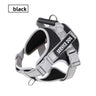 Explosion-proof chest harness black / Xl-within 28-40kg