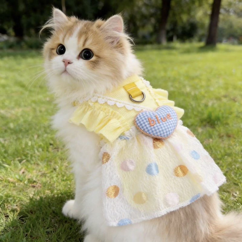 Heart Bubble Princess Pet Dress with Leash
