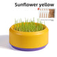 Cat Grass Potted Seeds Soilless Hydroponic Catnip Growing Kit Kitten Snack Supplies
