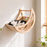 Moon bed
