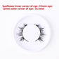 Magnetic False Eyelashes With Clip Set