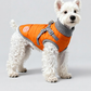 Small and medium-sized dog coats with added insulation for warmth