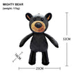 Mighty Bear
