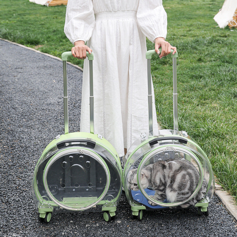 Two rolling bubble pet carriers, green and clear, with a cat inside and a woman holding both pull rods