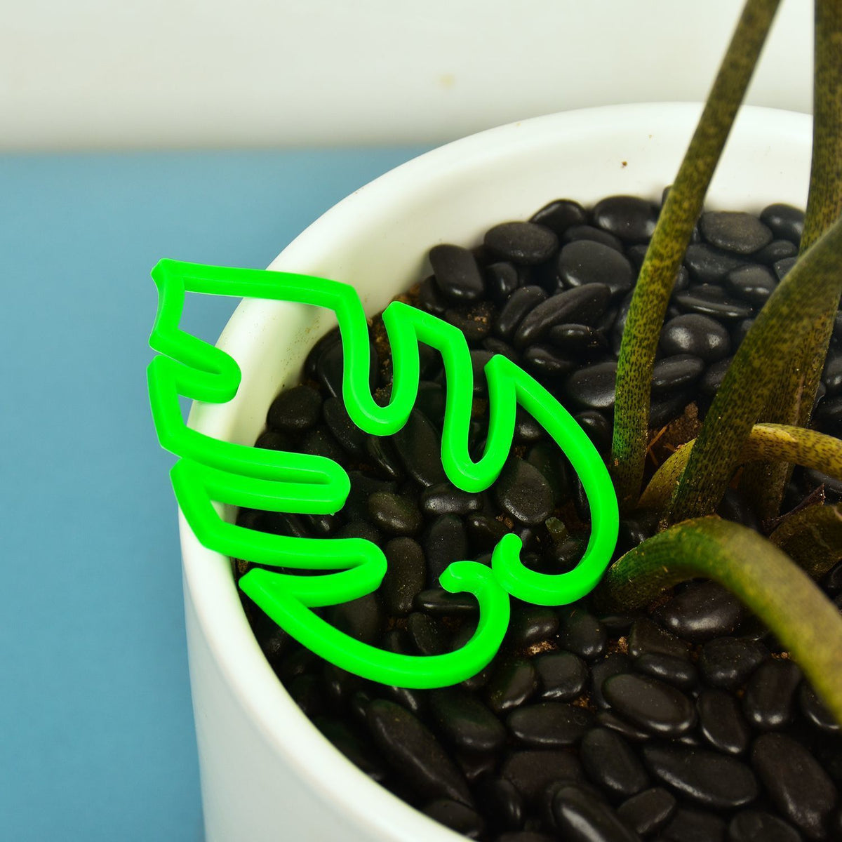 Large green monstera leaf shaped plant support clip resting against the rim of a pot with black pebbles