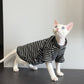 Black and white striped cat shirt with short sleeves on a hairless cat in a crouch, side view