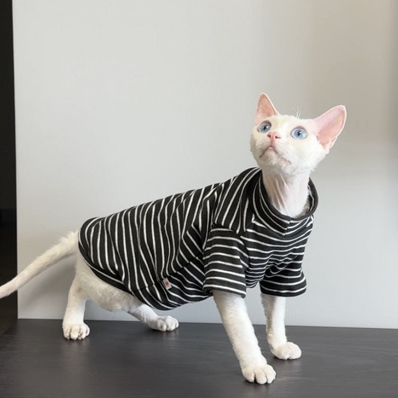 Black and white striped cat shirt with short sleeves on a hairless cat in a crouch, side view
