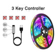 25m 12LED/m