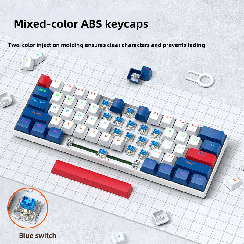 Mixed color white and blue 61 key keyboard with red space bar, blue switch and keycap puller