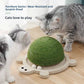 Turtle Shape Sisal Cat Scratching Board Toy