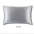Glacier Silver Slip
