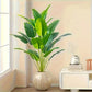 Artificial traveler banana plant held to show its 80 cm height